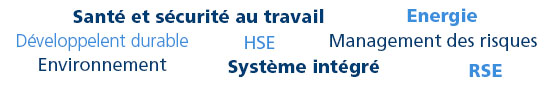 Santé & Sécurité au travail – HSE - Développement Durable – Energie – Environnement – Système intégré – RSE – Management des risques