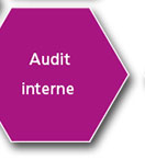 Audit interne