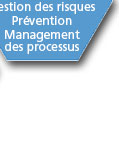 Diagnostics et conseil en management*