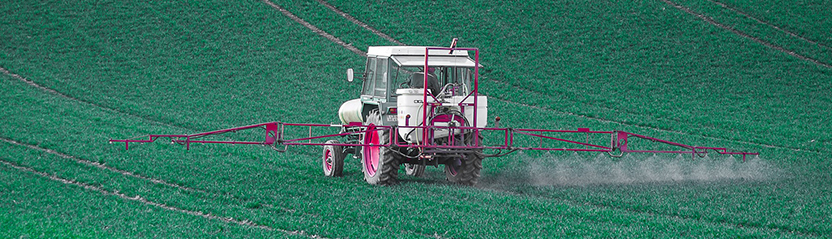 Le chlorate de soude, herbicide non sélectif interdit