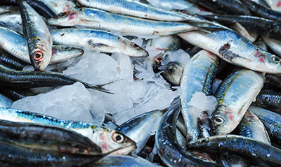 Tout l'équipement pour la marée et le poissonnier Gant cotte de